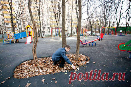 ИЗБЫТОЧНОЕ АСФАЛЬТИРОВАНИЕ
ещё одна распространённая проблема города

К сожалению, сейчас наблюдается пагубная практика избыточного асфальтирования территорий дворов, урезается площадь газонов в городе, деревья закатываются в асфальт почти под основание ствола, что приводит к их последующей гибели. Подобное "благоустройство" вредит городу и нарушает нормы, определённые для зелёных насаждений.

Статья на тему:
https://okrug.info/novosti/zhkh/blagoustroistvo-v-golj..