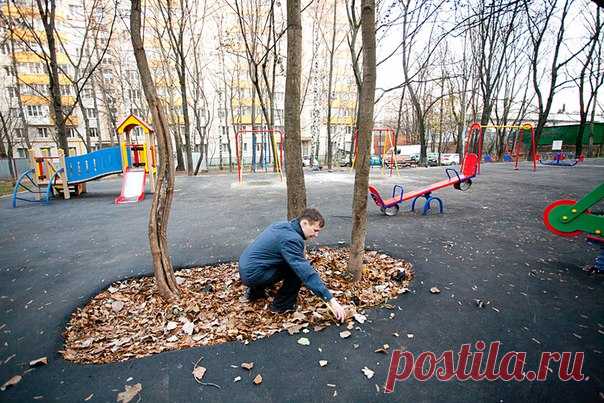 ИЗБЫТОЧНОЕ АСФАЛЬТИРОВАНИЕ
ещё одна распространённая проблема города

К сожалению, сейчас наблюдается пагубная практика избыточного асфальтирования территорий дворов, урезается площадь газонов в городе, деревья закатываются в асфальт почти под основание ствола, что приводит к их последующей гибели. Подобное 