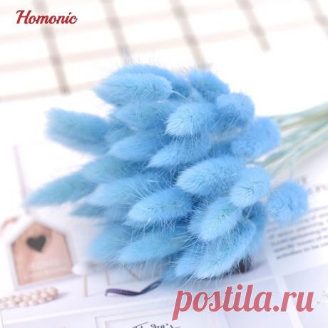 50 шт. сушеные натуральный букеты красочные lagurus ovatus букеты и uraria пикта и кролика хвост трава букеты купить на AliExpress