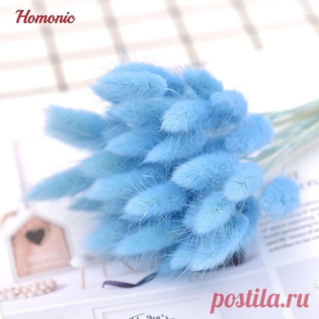 50 шт. сушеные натуральный букеты красочные lagurus ovatus букеты и uraria пикта и кролика хвост трава букеты купить на AliExpress