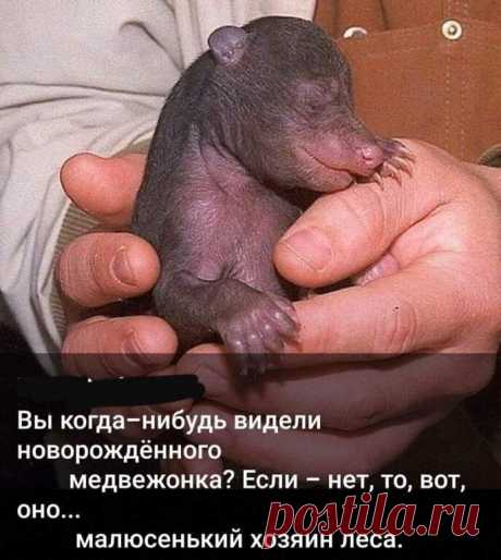 (20+) Facebook