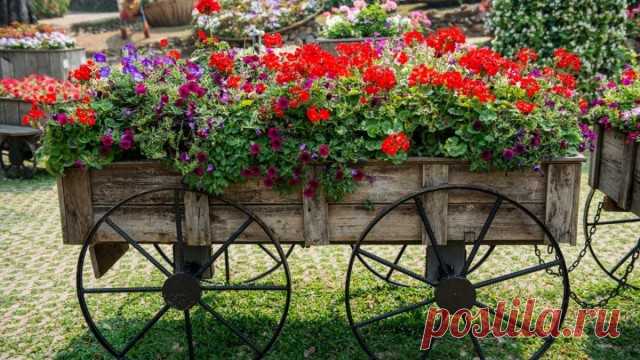Старая телега в качестве подставки для садовых растений