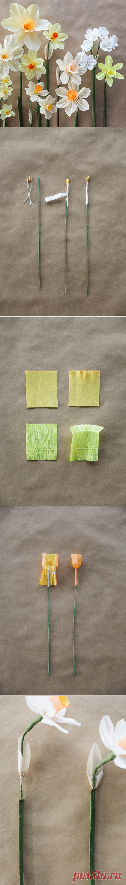 Paper Daffodil Tutorial | Design*Sponge