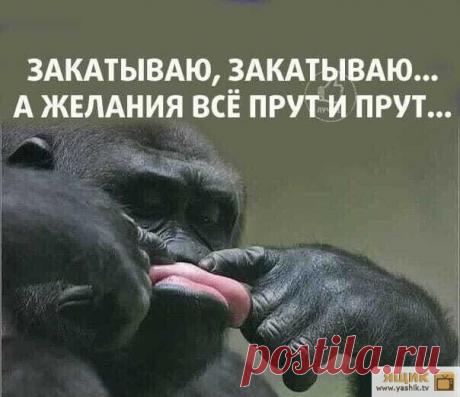 Вечер позитива Огромная подборка и коллекция прикольных и ржачных картинок и фотографий.