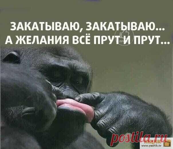 Вечер позитива Огромная подборка и коллекция прикольных и ржачных картинок и фотографий.