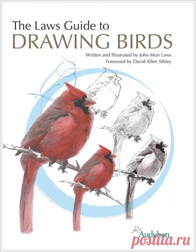 The Laws Guide to Drawing Birds.