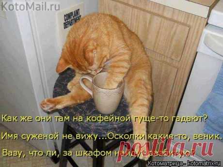 Гадание на кофейной гуще