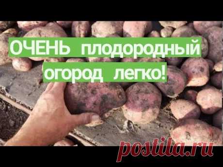 ПАН123 Как вырастить БОЛЬШОЙ УРОЖАЙ. Создать плодородие почвы повысить урожайность - YouTube