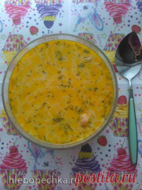 Сырный суп с курицей в скороварке Steba - Хлебопечка.ру