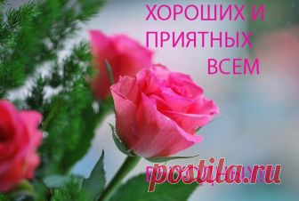 Доброе Субботнее Утра . Хороших Выходных Вам Друзья