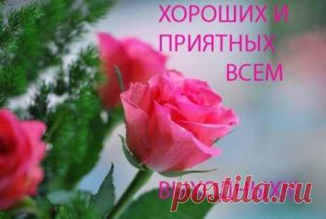 Доброе Субботнее Утра . Хороших Выходных Вам Друзья