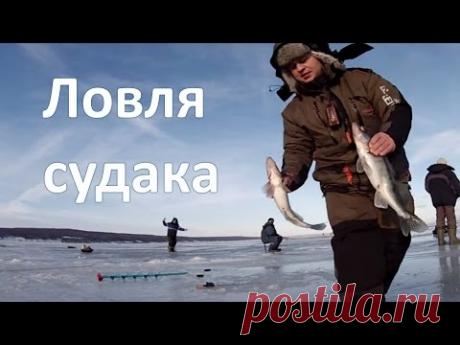 Ловля судака со льда