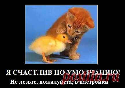 Что значит по умолчанию Подробное объяснение понятия, что значит по умолчанию. В качестве примеров рассматриваются различные режимы по умолчанию.