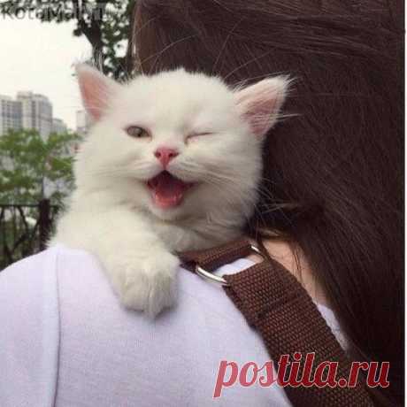 Я подарок жизни и меня нужно любить!