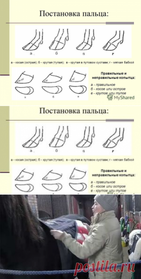 Ошибки обрезки копыт у коров - как ухаживать за копытцами