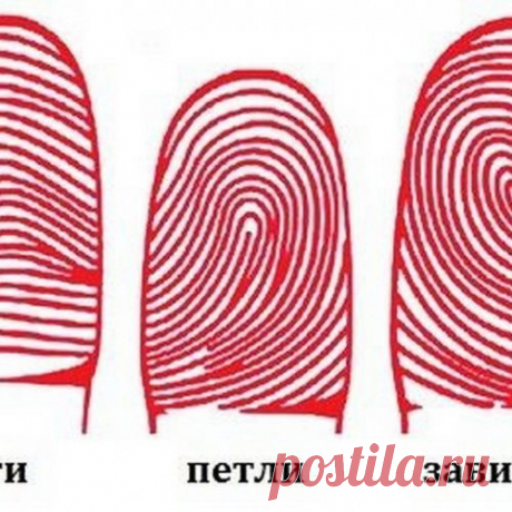 Дактилоскопия и характер. Что поведают ваши пальчики?