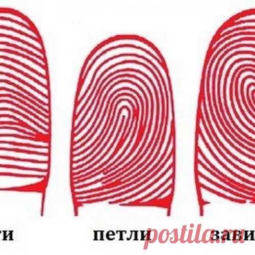 Дактилоскопия и характер. Что поведают ваши пальчики?