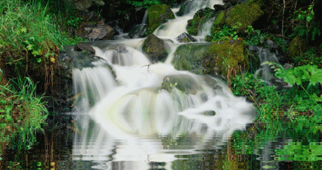 114237736_15.gif (700×370)