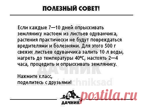 полезный совет
