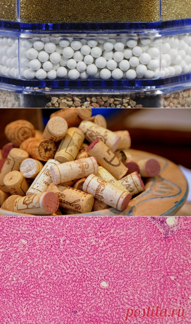 5 заблуждений о чистке печени / Будьте здоровы