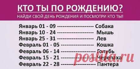 Ваш день рождения способен много рассказать о вас, чертах характера, личности… Удивительно, но ваше животное по дню рождения – это настоящий ключ к пониманию себя. Воспользуйтесь им! Зная дату рождения человека, можно узнать о нем кое-что интересное. Каждому временному промежутку соответствует одно из животных, черты которого участвуют в формировании личности. Описание: Собака – верные и […]