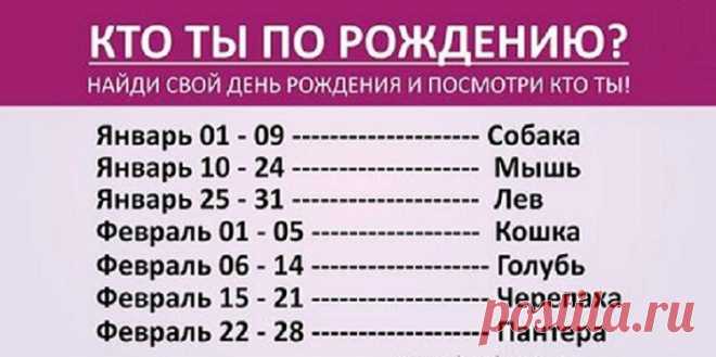 Ваш день рождения способен много рассказать о вас, чертах характера, личности… Удивительно, но ваше животное по дню рождения – это настоящий ключ к пониманию себя. Воспользуйтесь им! Зная дату рождения человека, можно узнать о нем кое-что интересное. Каждому временному промежутку соответствует одно из животных, черты которого участвуют в формировании личности. Описание: Собака – верные и […]