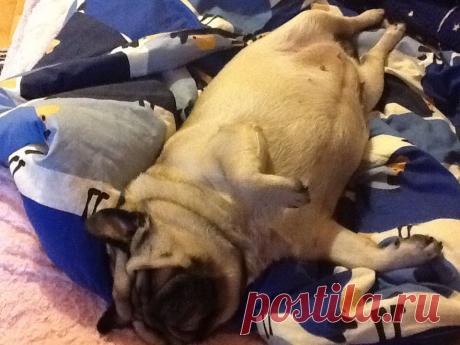 После сытного обеда ... По закону Архимеда ... Полагается поспать )))!!