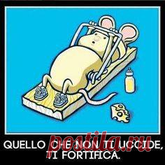 То, что нас не убивает, делает нас сильнее!