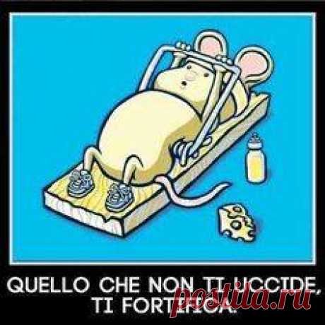 То, что нас не убивает, делает нас сильнее!
