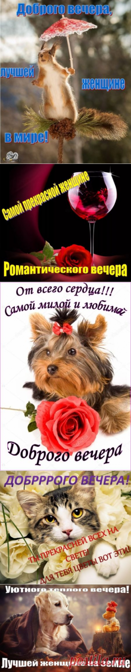 Открытка добрый вечер женщине: красивые картинки с пожеланиями любимой