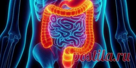 В Израиле выявили связь между кишечными бактериями и болезнью Паркинсона.