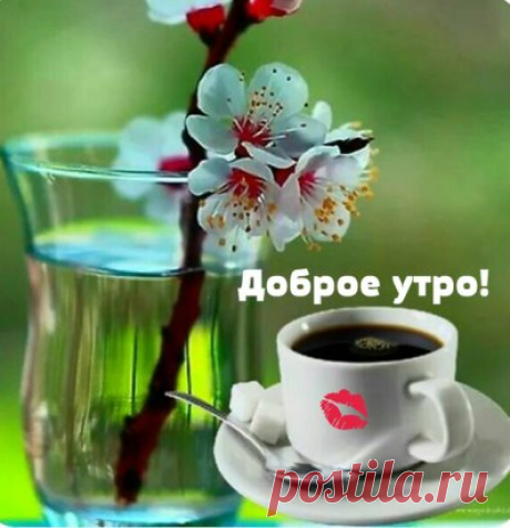 Всем замечательного воскресного денёчка, удачи, здоровья
                       и отличного настроения на весь день!!!!
                                                Доброе утро!