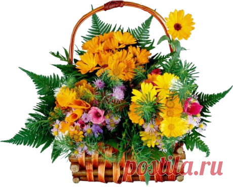 цветы png