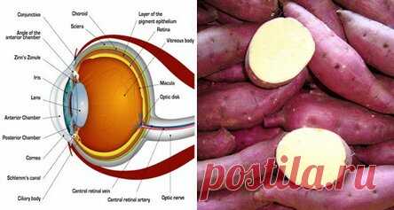 Сладкий картофель: помогает при проблемах со зрением в кратчайшие сроки! Очень просто и полезно!