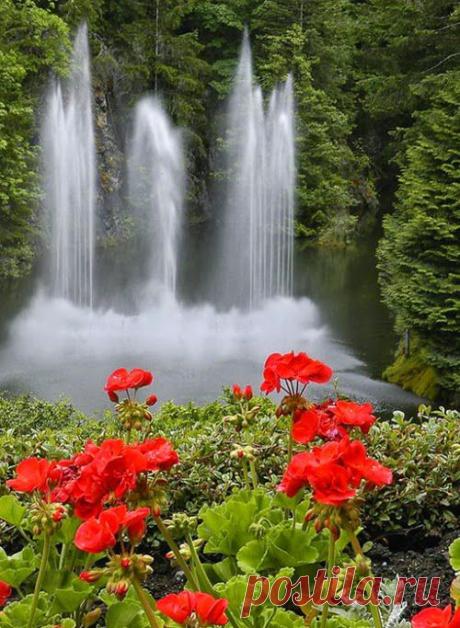 Google+