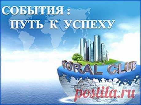 2014 05 27 Вебинар МФ(путь к успеху)