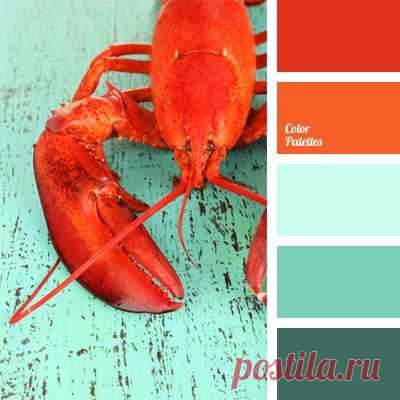 (4) Pinterest: scopri e salva idee creative