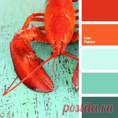 (4) Pinterest: scopri e salva idee creative