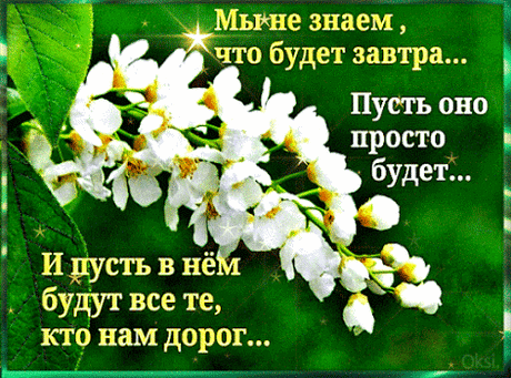 Мой Мир@Mail.Ru