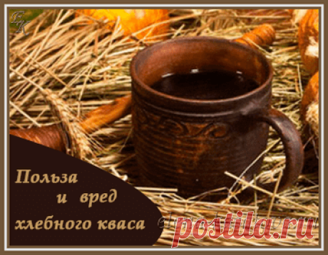 Хлебный квас — польза и вред