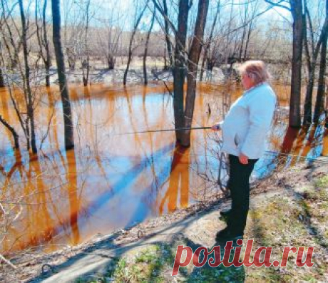 Паводок и рыбалка  
 
Апрель после мягкой зимы порадовал сибиряков теплой погодой, солнечными днями и началом паводка. Последние льдины по Оби уплыли 6 апреля, и все ждали, когда в реки пойдет рыба на нерест. Первые…