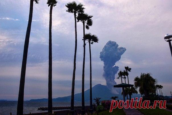 В Японии пробудился один из наиболее активных вулканов страны — Сакурадзима. Высота выброшенного им столба пепла превысила 3000 метров.