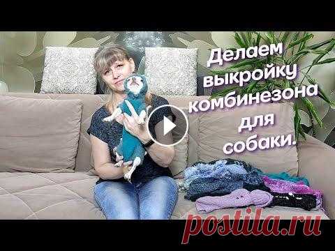 Одноглазая модель Фокси модница Как сделать выкройку комбинезона для маленькой собачки/Master diy. Друзья ! Ваши лайки, комментарии, репосты в соцсетях помогают моему каналу. Посмотрели - поставили лайк...