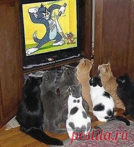 (32) Facebook