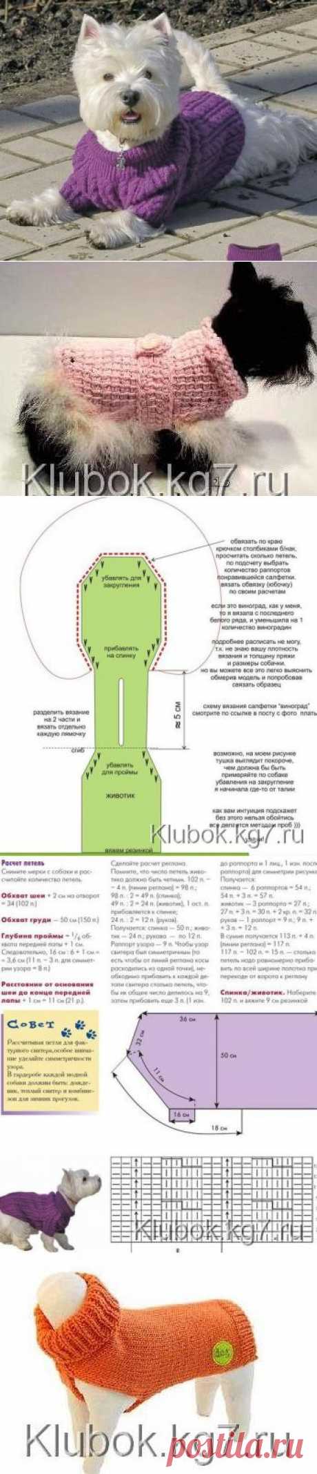 Утепляем питомцев | Клубок