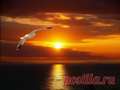 Мой Мир@Mail.Ru