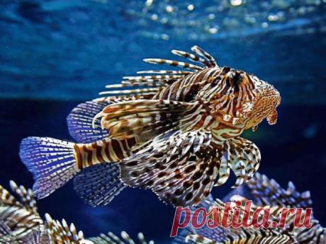 Попробуй только тронуть!