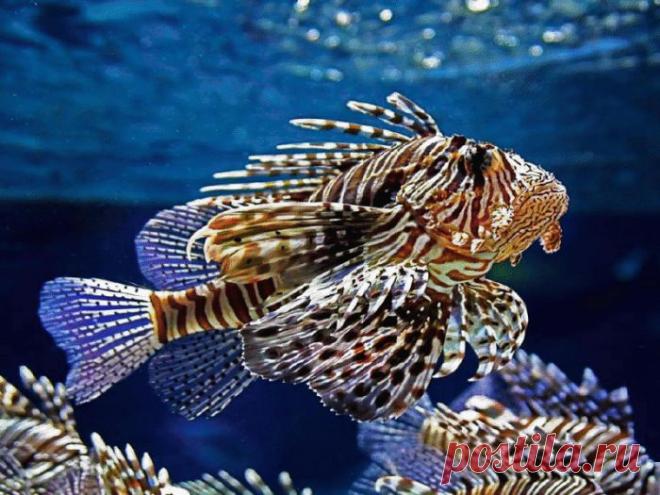 Попробуй только тронуть!