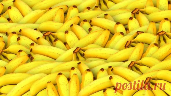 orig-1494474939813664df46fabbce5e2ab8e41c66a627.jpeg (750×422)