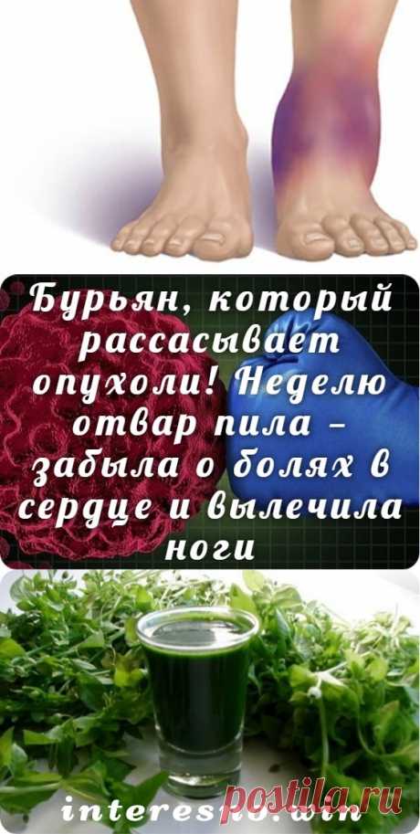 Бурьян, который рассасывает опухоли! Неделю отвар пила — забыла о болях в сердце и вылечила ноги - Интересный блог